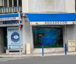 Aquadecor image 2