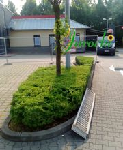 Grüninsel vorher