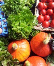 Der Hof Heilpädagogischer Bauernhof und Integrative Freizeitgestaltung e.V. Bild 6