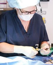 Dublin Veterinary Hospital image 7