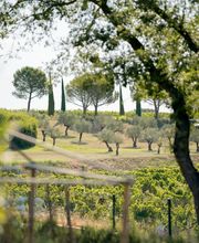 Coquillade Provence image 2