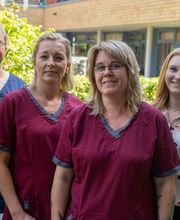 Zahnarzt Michael Kirches Bild 1