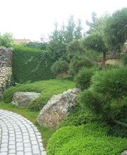 Gärtner Basel & Baselland