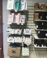 Orchestra MAUREPAS image 14