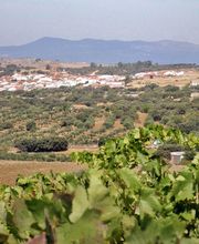 Cooperativa del Campo San Isidro imagen 1