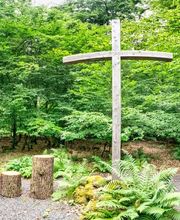 FriedWald Lauterbach Bild 7