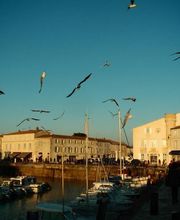 Hôtel La Jetée image 8