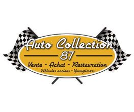 Auto Collection 87 image 1