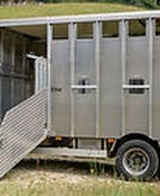 Viehhandel Riesen Bild 2