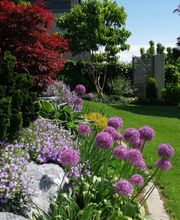 Portmann H. Gartenbau GmbH Bild 8