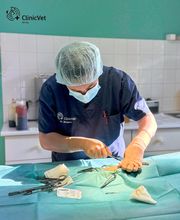 ClinicVet Vétérinaire Bernay image 5