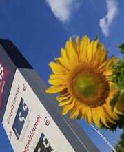 ibis Berlin Dreilinden Bild 2