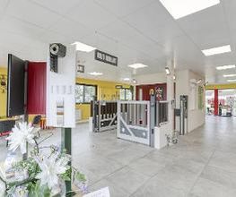 Torchelec image 6