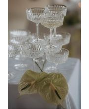 Butterbird Weddings & Events Inh. Julia Kurz Bild 7