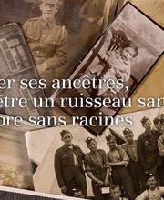 Tp Genealogie image 2