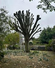 L.W.Espaceverts image 10