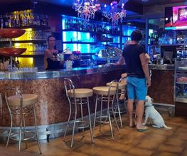 Gallery Cliente