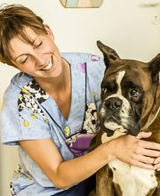 Clinica Veterinaria Leonardo da Vinci immagine 16