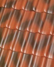 Dam Dakbedekkingen Van