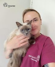 ClinicVet Vétérinaire Bernay image 4