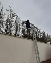 Artisan Elagueur David image 10