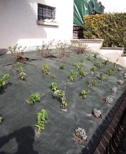 GONIN PIERRE image 6