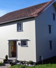 Bedachungen Fassadenbau Preisig Bild 2