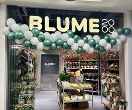 BLUME2000 Darmstadt Bild 2