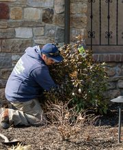 Landscape Solutions image 10