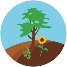 Großmann Erden & Komposthof