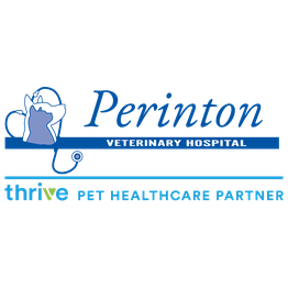 Perinton Veterinary Hospital