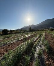 NutraPosuna imagen 7