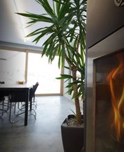 Artworking Daniel Zobrist