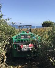 Moutons-Gloutons image 18