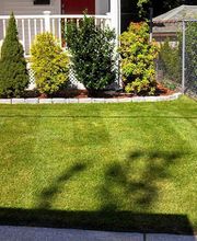 MAS Landscaping & Snow Removal image 19