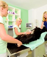 Kleintierklinik am See Bild 3