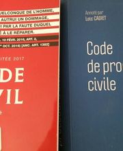 Durand-Levavasseur Céline image 2