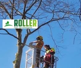 Forst- und Gartenservice Roller Bild 1