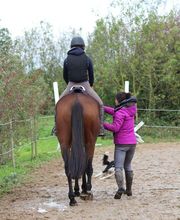 Ponte F SARL image 10