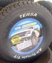 TERSA Cabo San Lucas imagen 10