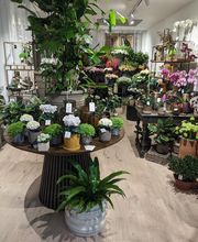 Florus image 1