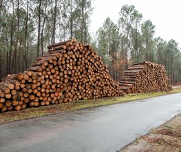Noval Bois SARL image 2