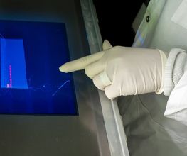 LDM Laboratorio di Diagnostica Molecolare Bild 7