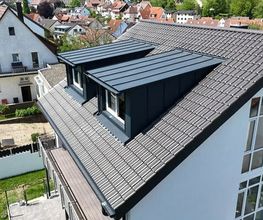 Dach Vision Bild 6