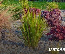 Santon Nos Jardins image 4
