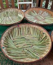 Fleur des Tropiques image 9