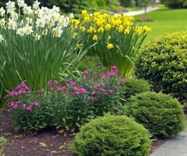 F&F Haus und Gartenservice Bild 1