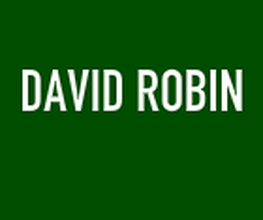 ROBIN DAVID image 1