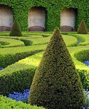 Jardin Design image 1