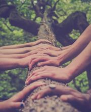 Naturheilpraxis Isabella Werder-Lavanga Bild 2